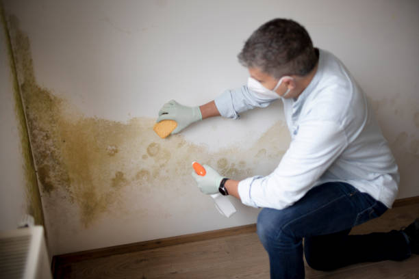 Best Mold Remediation for Rental Properties  in Matoaca, VA