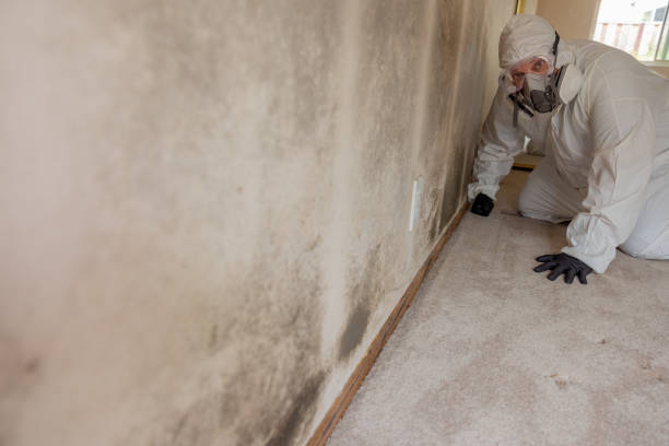 Biohazard Mold Removal in Matoaca, VA