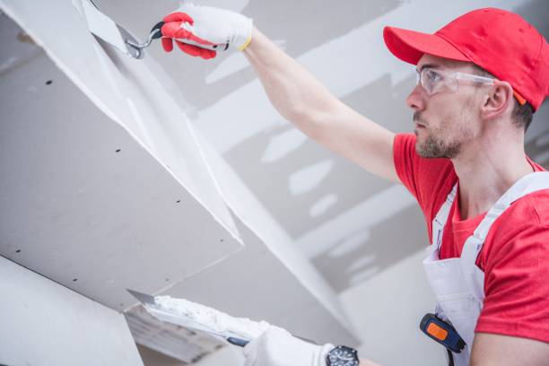 Best Mold Damage Restoration  in Matoaca, VA